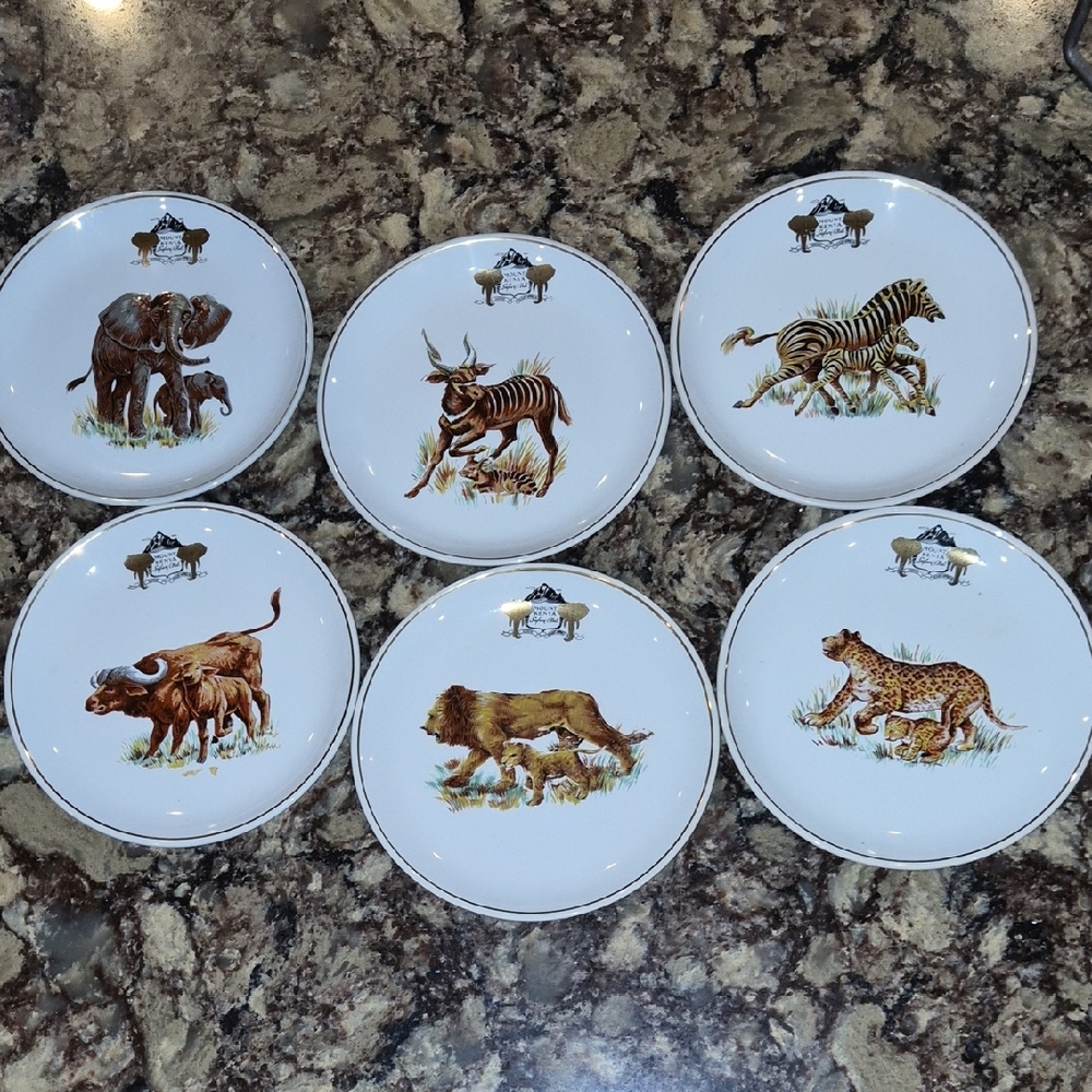 Wildlife Safari Animal Plates Set - White